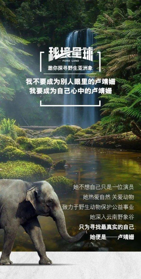小猫钓鱼正版下载中文版