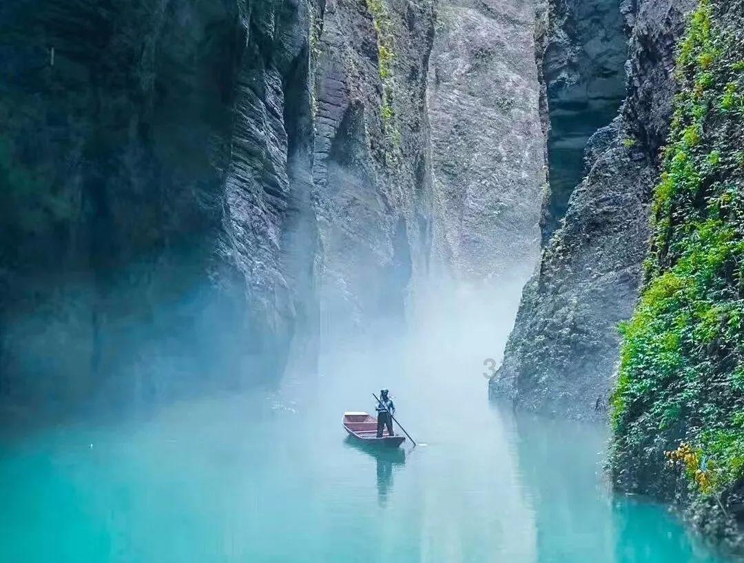 同样重量的龙虾,选个头大的龙虾还是选个头小的更划算?知识星球