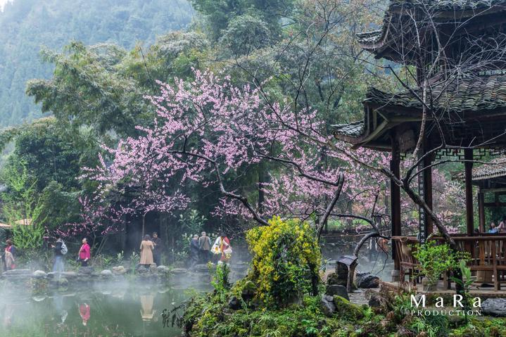 湖北有什么特产可以带走送人的知识星球平台-助你掌握更多知识