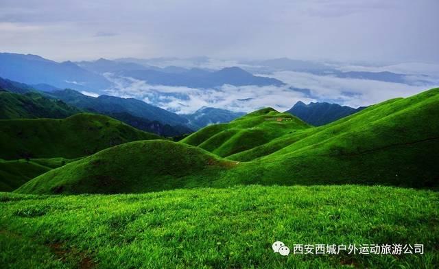 燃烧吧大脑装瓶子游戏