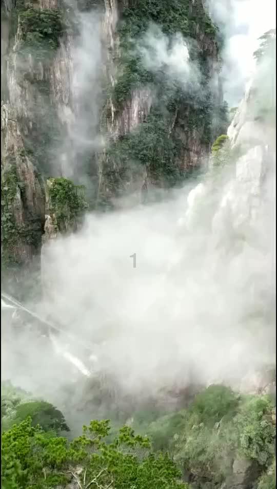 沪江开心词场